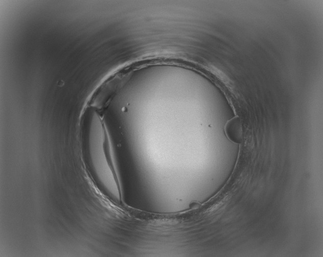 X0000073981118200609181709