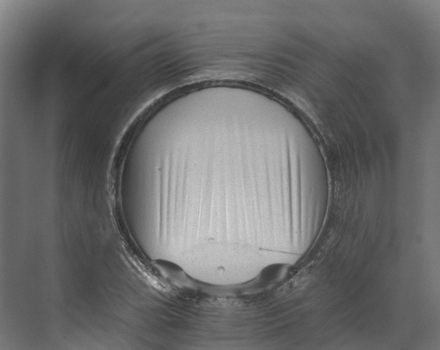 X0000073981119200609181709