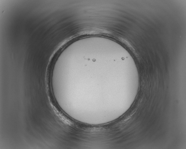 X0000073981122200609181709