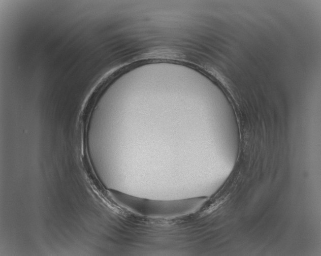 X0000073981123200609181709