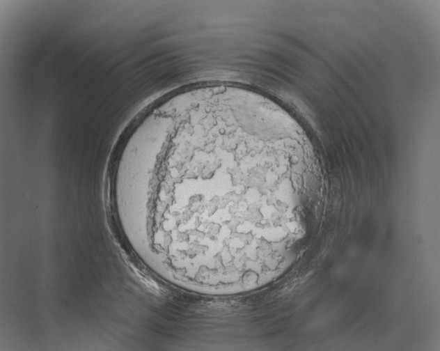 X0000073981125200609181709