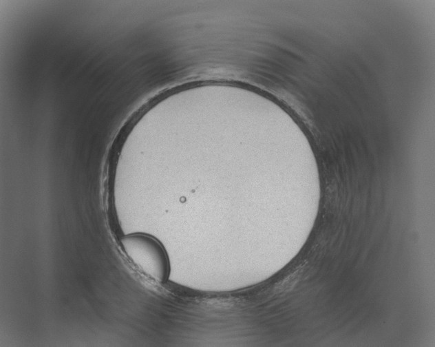 X0000073981126200609181709