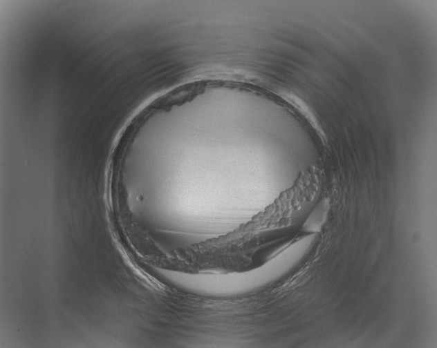 X0000073981128200609181709