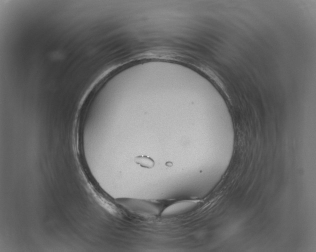 X0000073981131200609181709