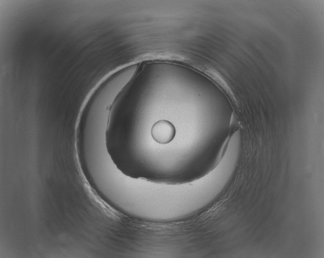 X0000073981132200609181709