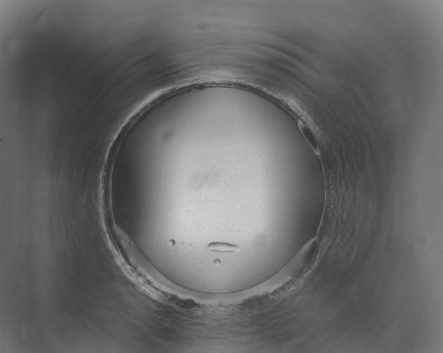 X0000073981134200609181709