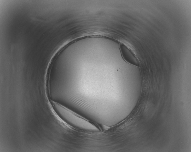 X0000073981135200609181709