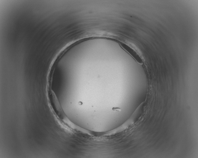 X0000073981136200609181709