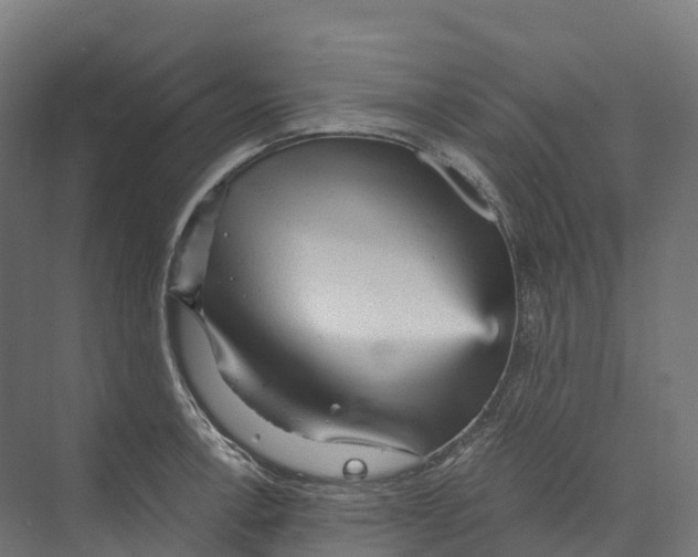 X0000073981138200609181709