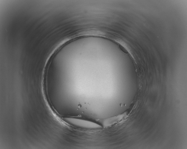 X0000073981139200609181710