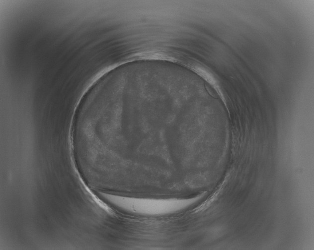 X0000073981141200609181710