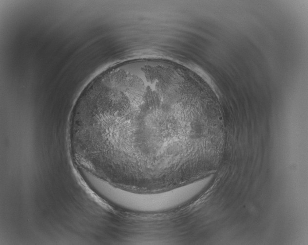 X0000073981142200609181710