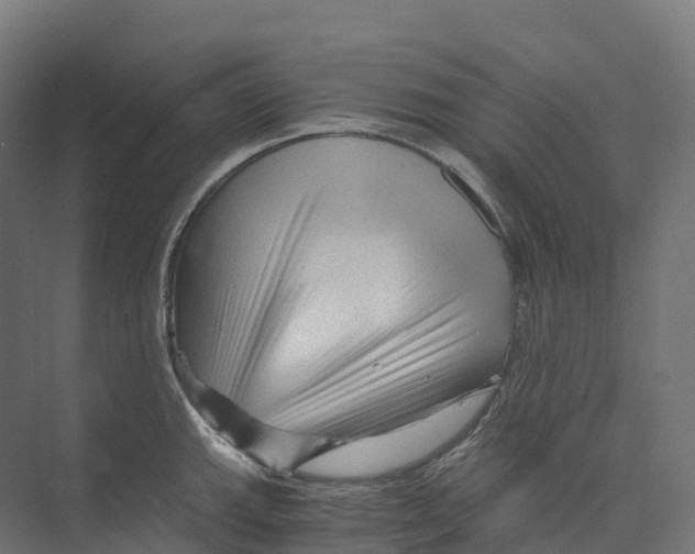 X0000073981143200609181710