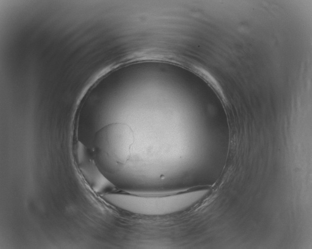 X0000073981146200609181710