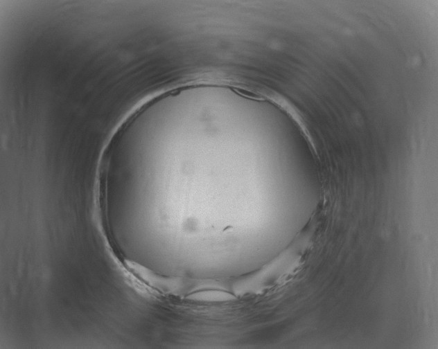 X0000073981147200609181710