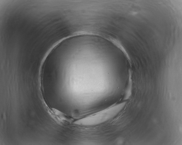 X0000073981148200609181710