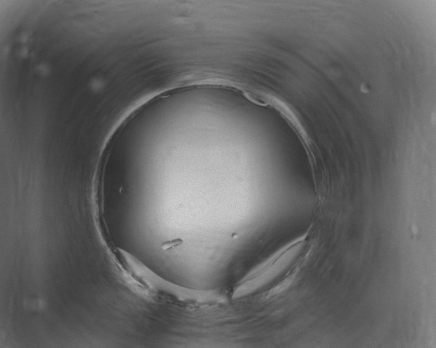 X0000073981149200609181710