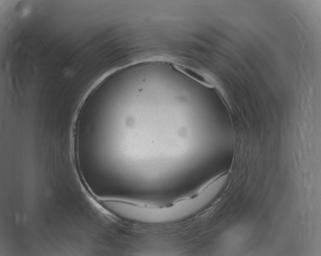 X0000073981151200609181710