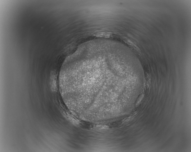 X0000073981154200609181709