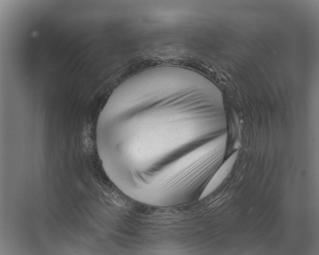 X0000073981156200609181709