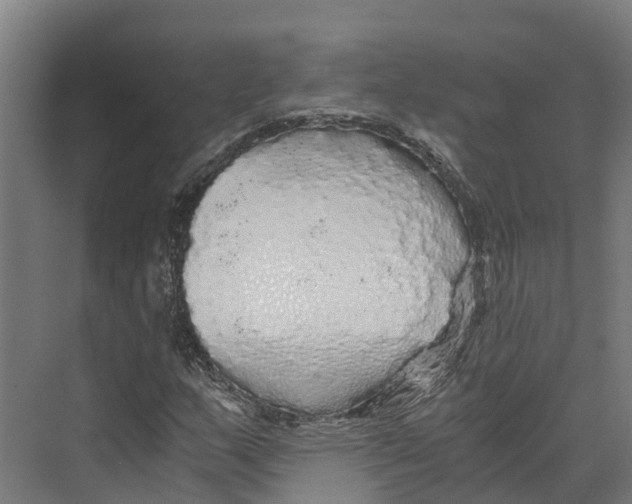 X0000073981159200609181709