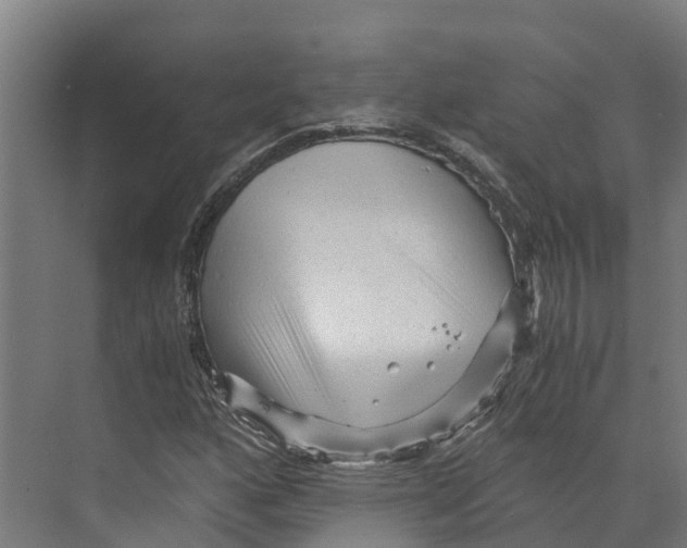 X0000073981160200609181709