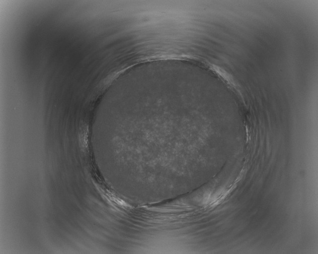 X0000073981161200609181709