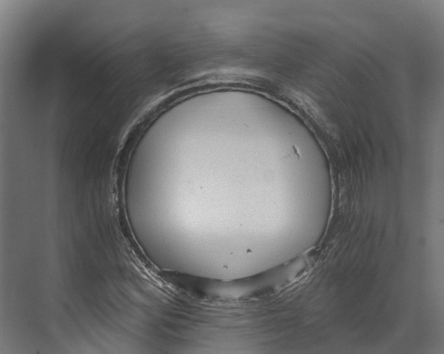 X0000073981164200609181709