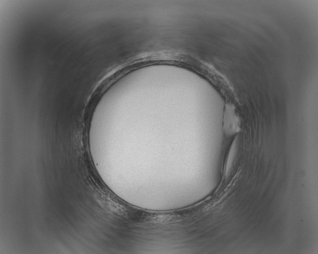 X0000073981166200609181709