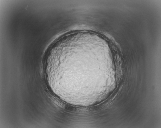 X0000073981167200609181709