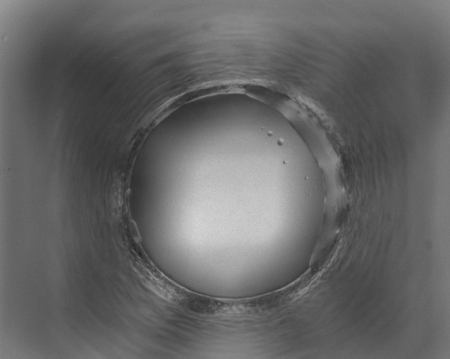 X0000073981169200609181709