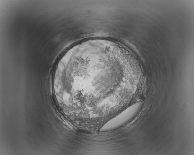 X0000073981171200609181709