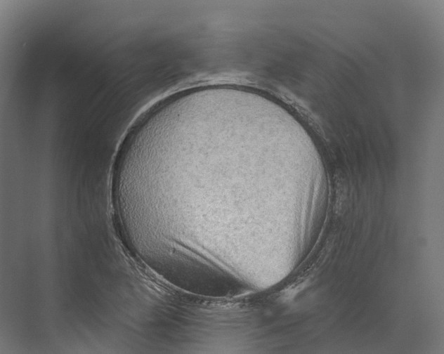 X0000073981174200609181709