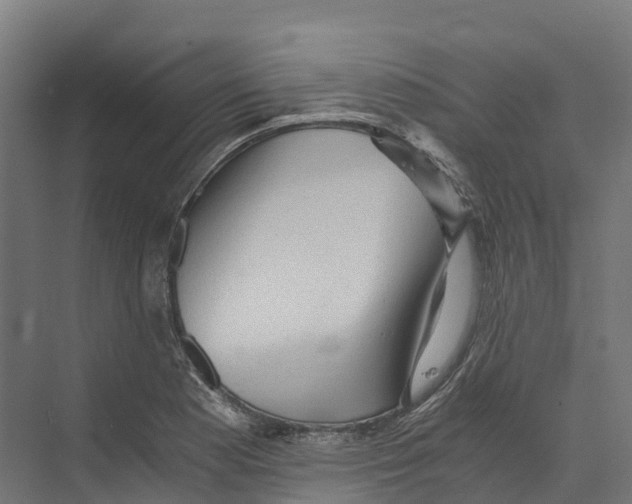 X0000073981177200609181709