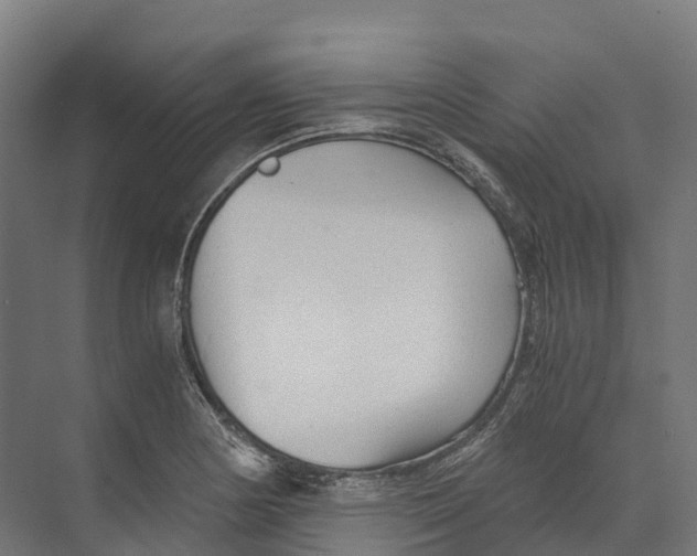 X0000073981178200609181709