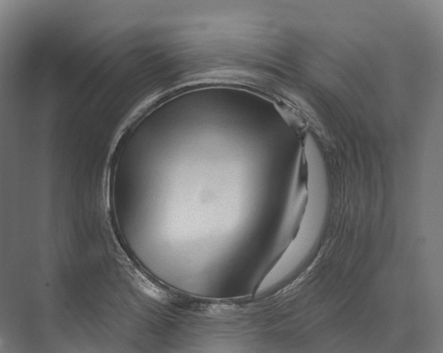 X0000073981180200609181708