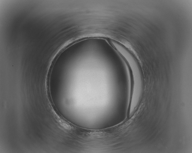 X0000073981181200609181708