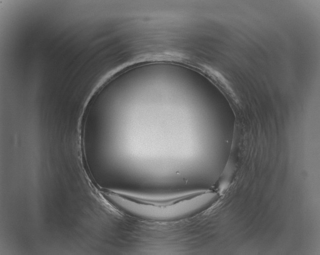 X0000073981184200609181708