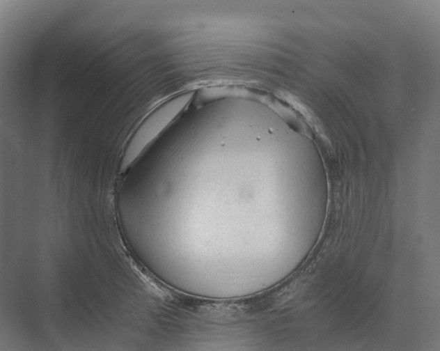 X0000073981185200609181708