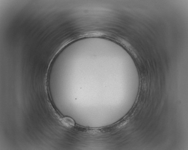 X0000073981186200609181708