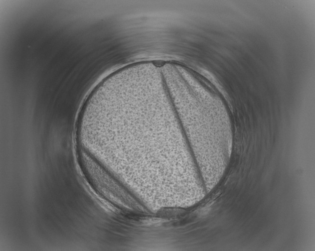 X0000073981187200609181708