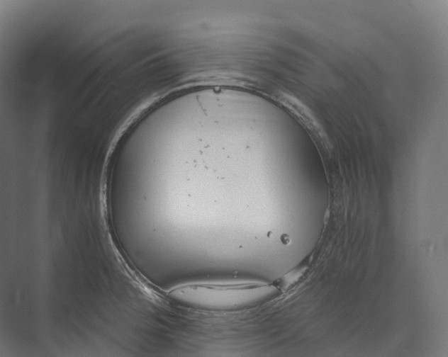 X0000073981188200609181708