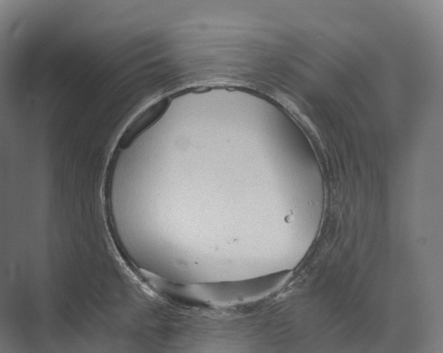 X0000073981189200609181708