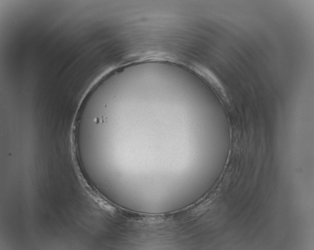 X0000073981190200609181708