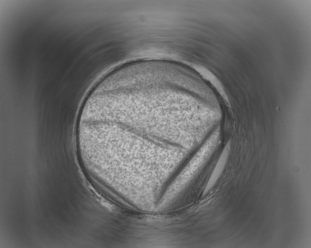 X0000073981191200609181708