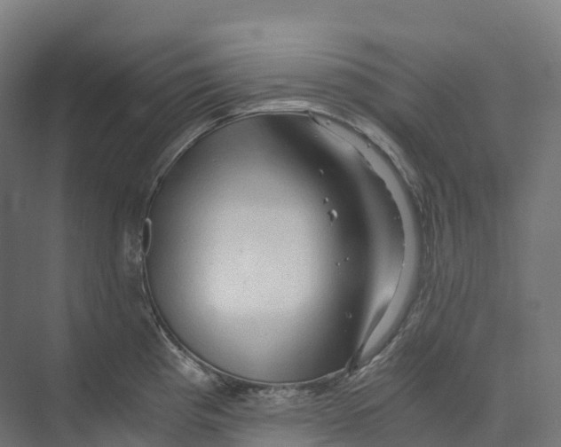 X0000073981193200609181708