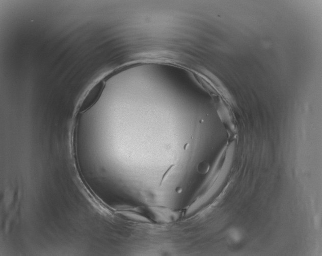 X0000073981196200609181708