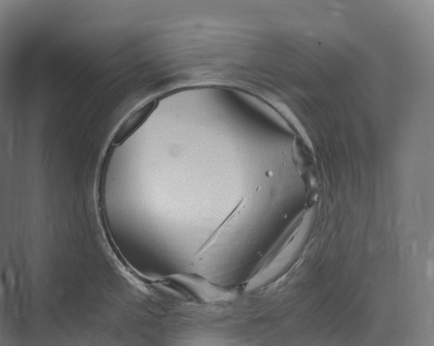 X0000073981197200609181708