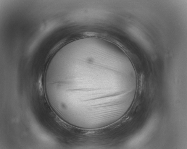 X0000073981198200609181708