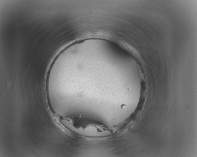 X0000073981200200609181708